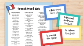 French Vocabulary Words (Activities and Free Printable List and Cards)