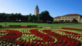 MIT or Stanford: Where to Pursue Electrical and Electronic Engineering