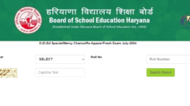 Haryana DElEd July Result 2024 declared: Check direct link here