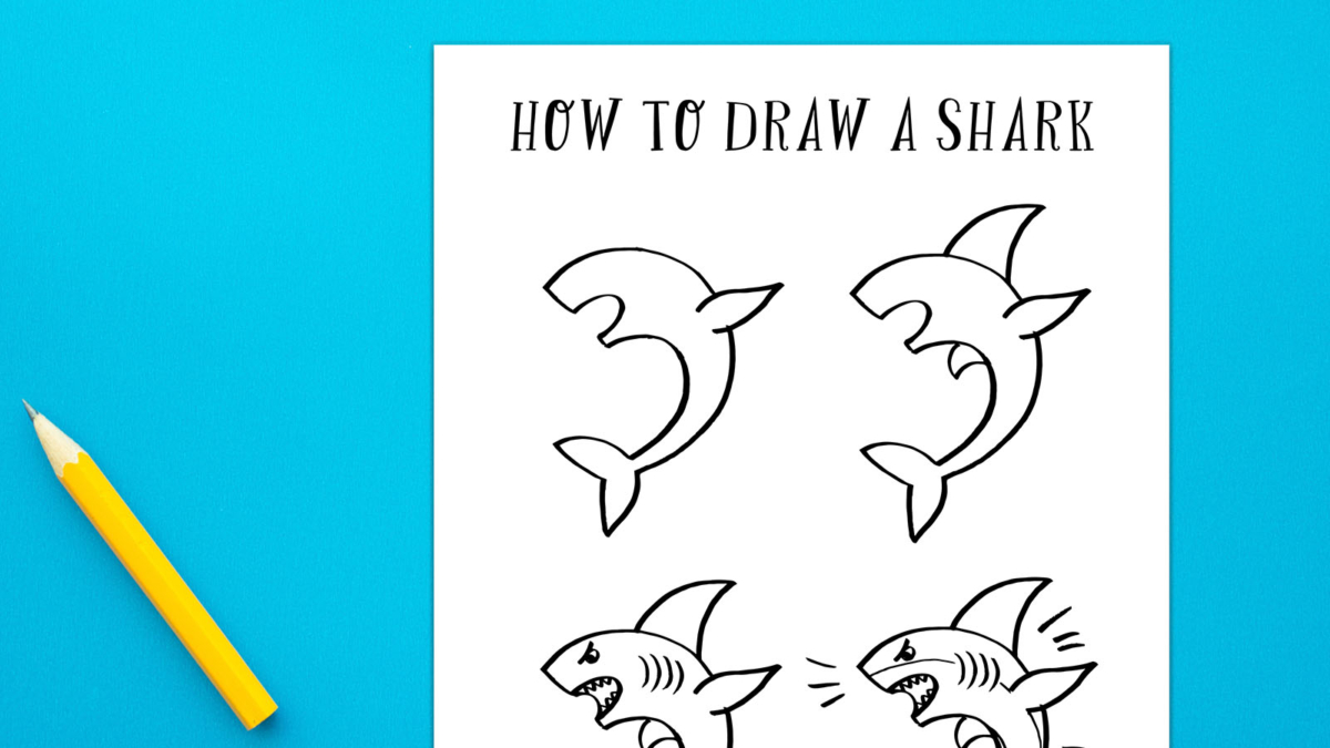 How To Draw a Shark (Free Printable + Video)