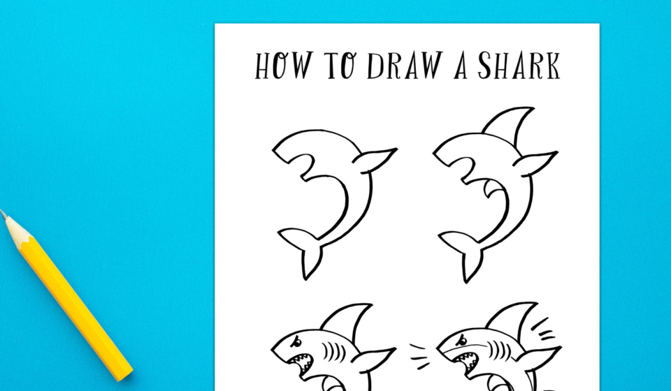 How To Draw a Shark (Free Printable + Video)