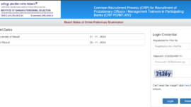 IBPS PO prelims result 2024 released at ibps.in: Direct link to check here