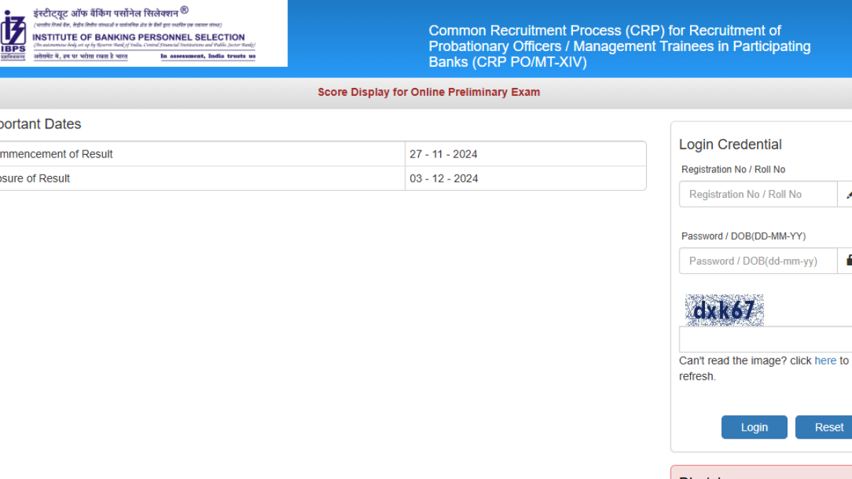 IBPS PO prelims scorecard 2024 released at ibps.in: Direct link to check here