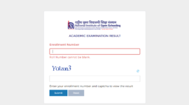 NIOS Class 12th 2024 result declared: Direct link to check here