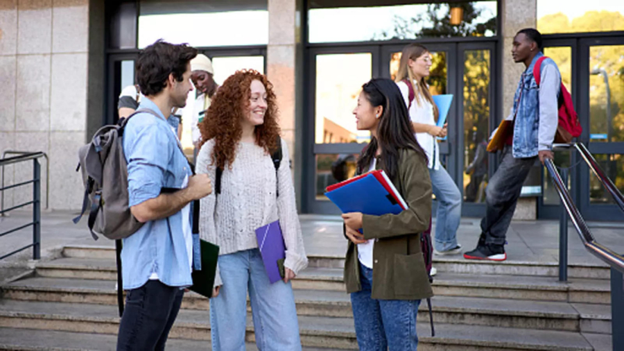 Ivy League admissions: Politically bold essays are opening doors for students to Harvard, Princeton, and Stanford