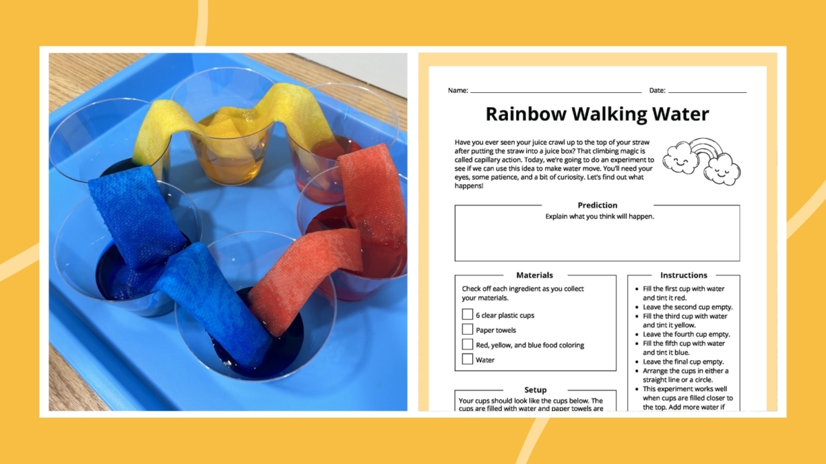 Rainbow Walking Water Experiment: How-To Plus Free Worksheet